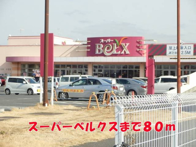 【周辺】 | シャトンクー | ベルクスまで80m