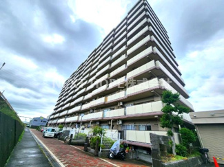 【外観】 | 阪神住建リバーサイドヴィラ姫島Ⅱ | 【阪神住建リバーサイドヴィラ姫島Ⅱ】地上１１階建　総戸数１５４戸　ご紹介のお部屋は２階部分です！！室内は令和８年３月リフォーム済みです！お待たせ無しで即ご入居していただけます！！