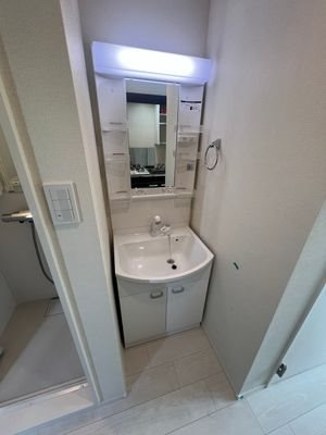 カーサ エスト 小岩 の洗面所
