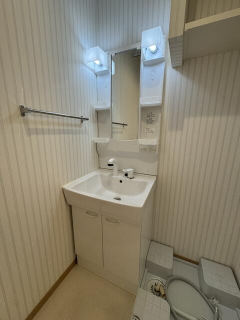 CASA BLUの洗面所