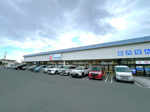 水戸市渋井町　中古戸建の周辺|カワチ薬局　浜田調剤様まで約1.4ｋｍ（徒歩約14分）
