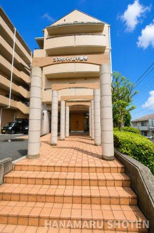 コスモハイム千葉寺のエントランス|＊当日ご案内可＊ご希望の物件まとめてご案内！弊社が掲載していない物件でもOK♪お気軽にご相談ください ♪お電話でのお問合わせがスムーズ♪