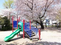 【周辺】 | 杉並区井草1丁目　新築戸建　1号棟 9290万円 | 井草さくら公園