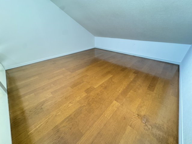 南ホワイトハウスのその他