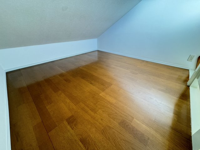 南ホワイトハウスのその他