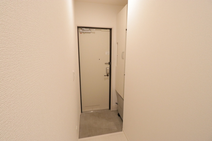 ルミナステラスの玄関