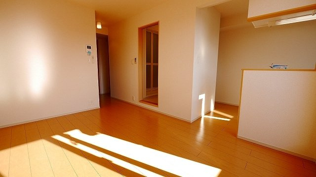 ノルドのその他