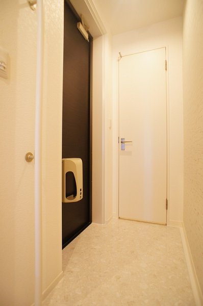 テンティア柏の玄関