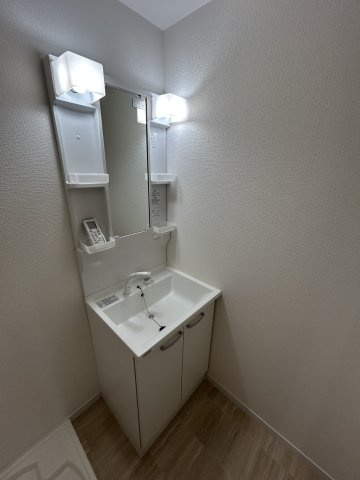 メゾンWO南七松の洗面所