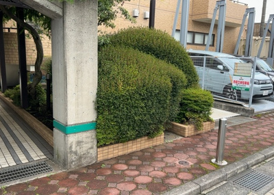 【中庭】 | フェリス星が丘 | 中庭（パティオ）とは、一つの建築物の内部に設けられた、壁などで囲われている庭のことを指します。コの字型、ロの字型が主流ですが、L字型の中庭もあります。最近では、インテリア性の高さからも人気があります。