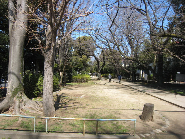 BREEZE IN THE FORESTのその他|玉川上水旧水路緑道