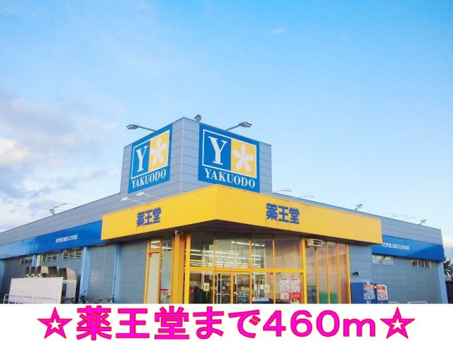 フリーデＭＦⅠの周辺|薬王堂まで460m