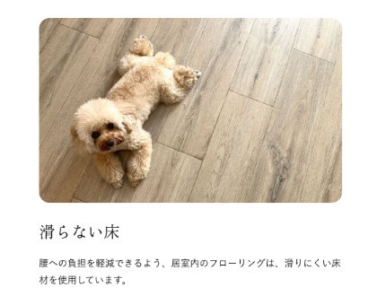 quador Contigo平和　小笹小学校区のその他|quador Contigo平和
