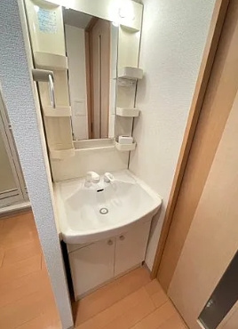 エステムコート新大阪VIエキスプレイスの洗面所