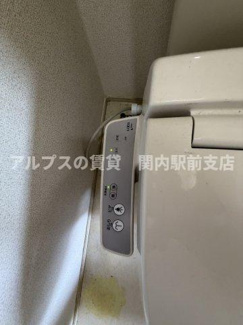 【トイレ】 | ストレリチア・レギネ