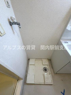 【その他】 | ストレリチア・レギネ