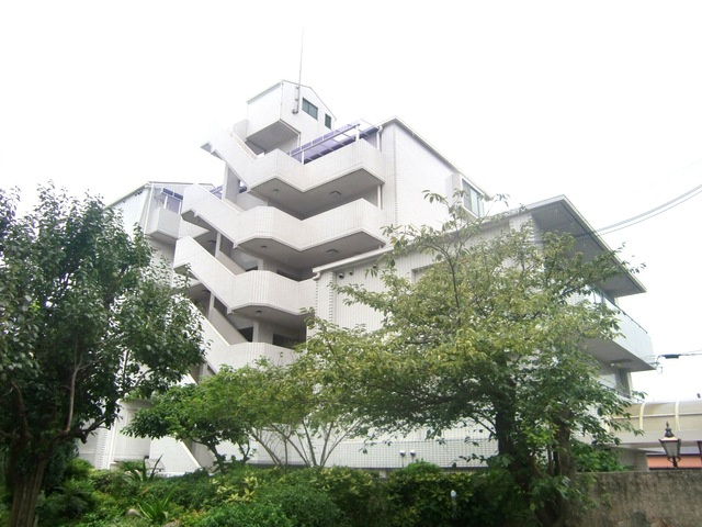 ダンディライオン住吉川