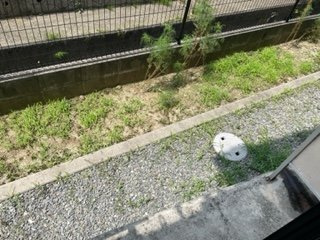 【その他】 | レオパレスラ　ルーナＢ