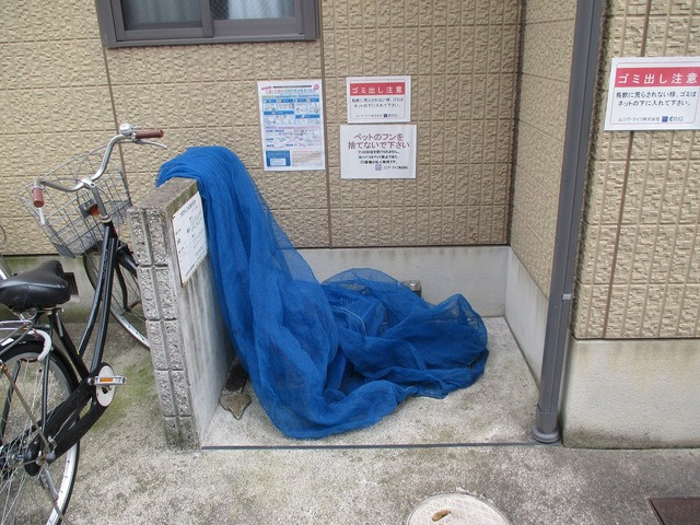 ワイズフォートレス