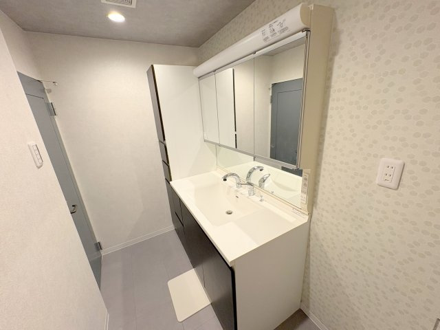 ロイヤルヒルズ東生駒の洗面所