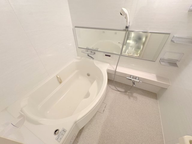 ロイヤルヒルズ東生駒の浴室