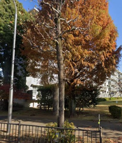 草加市新栄 区分のその他
