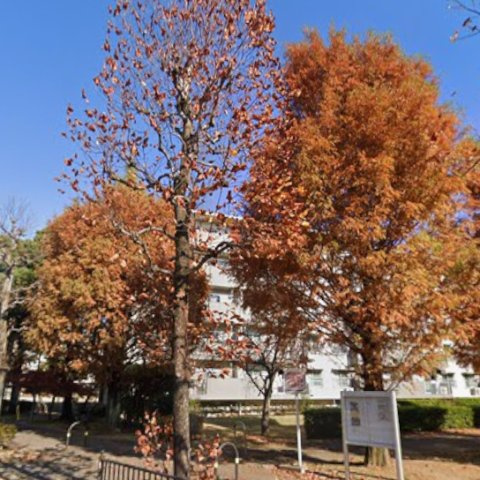 草加市新栄 区分の庭