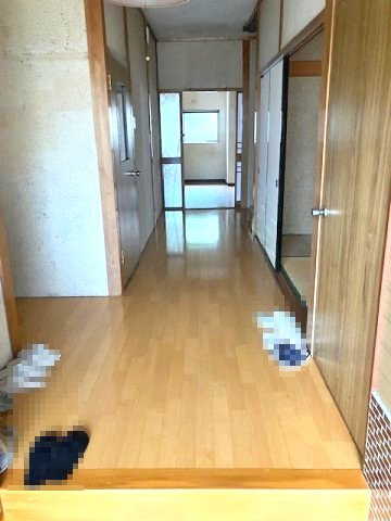 敦賀市新松島町中古戸建