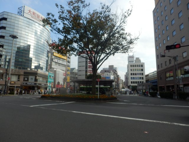 ハーモニーテラス志茂ⅩⅤの周辺