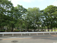 谷在家公園まで484m
