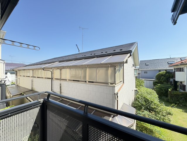 レッドロビンホシナの展望