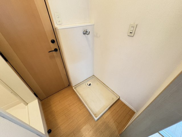 レッドロビンホシナのその他