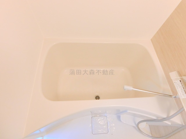 アピチェ田園調布の浴室