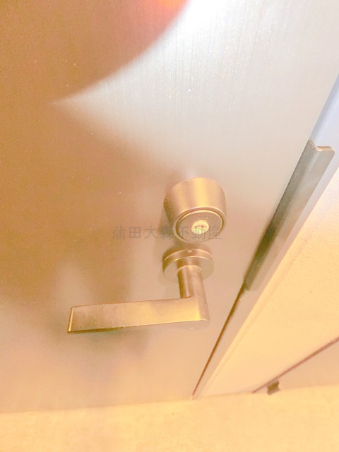 アピチェ田園調布の玄関