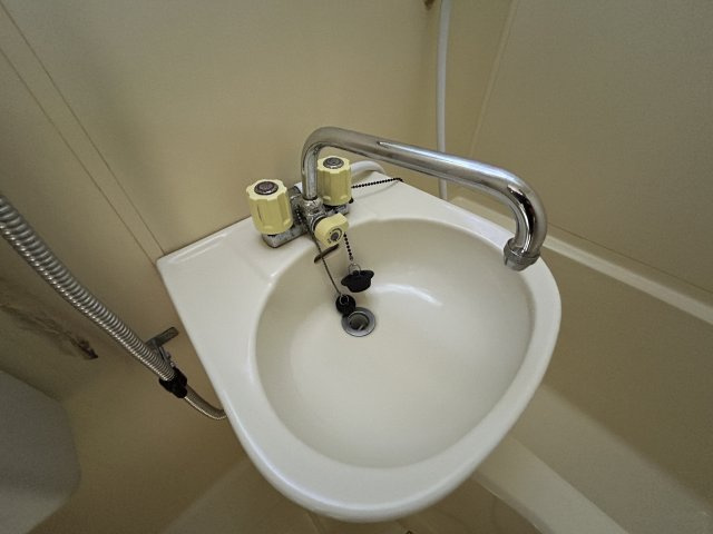 ダイアパレス郡山麓山公園の洗面所|コンパクトで使いやすい洗面所