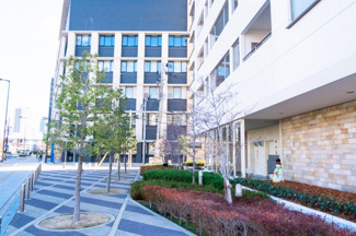 【周辺】 | 大阪ウエストゲートタワー | 【周辺】マンション周辺の歩道もきれいに舗装・管理されています！気持ちの良い並木道！