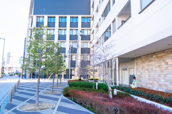 【周辺】 | 【周辺】マンション周辺の歩道もきれいに舗装・管理されています！気持ちの良い並木道！