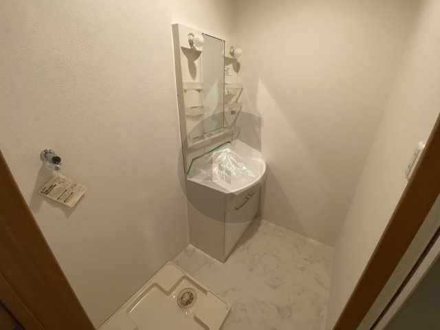 パレスハナテン1の洗面所