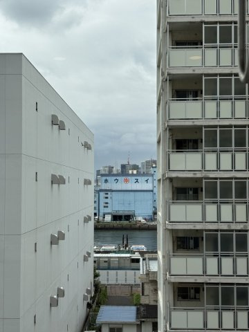 の-の画像