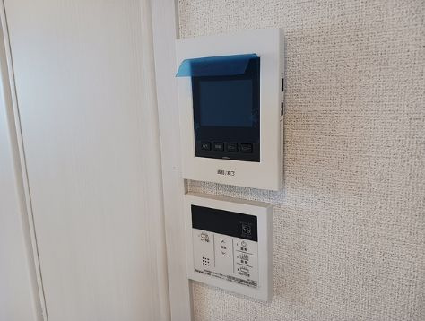 【セキュリティ】ラウレア　リーフ