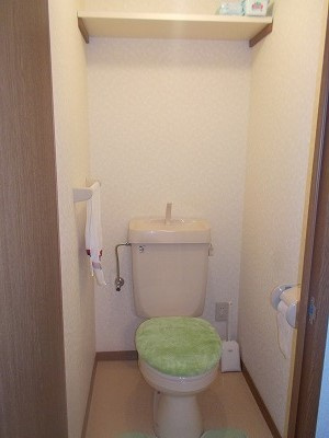 総社市駅南１丁目の賃貸マンションのトイレ|家具家電はつきません