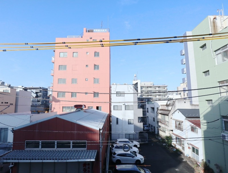 prune honjoのその他
