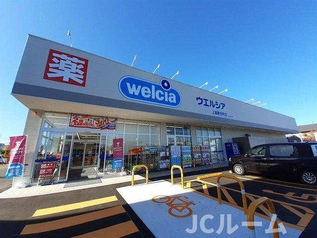 Ｍａｉｓｏｎ　ｄｅ　ＹＫ　Ⅲの周辺|ウエルシア上越新光町店まで650m