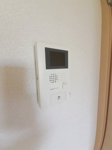 ロータス・ミカドのセキュリティ