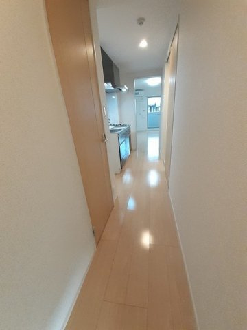 ルミリクスのその他
