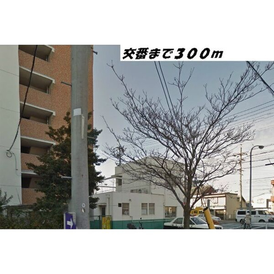 【展望】 | 旭ハウス