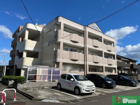 セフティ上坂