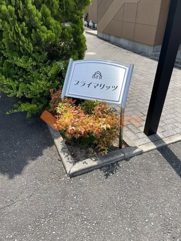 プライマリッツの周辺
