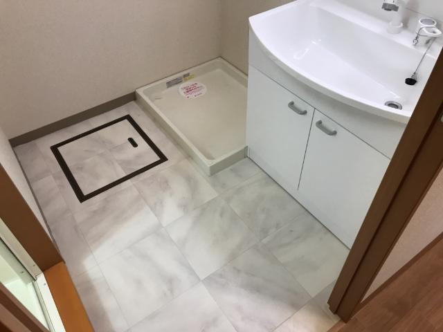 ハイツ　ルミナスⅠのその他|脱衣所