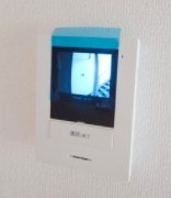 チェルシークロイスターズのセキュリティ